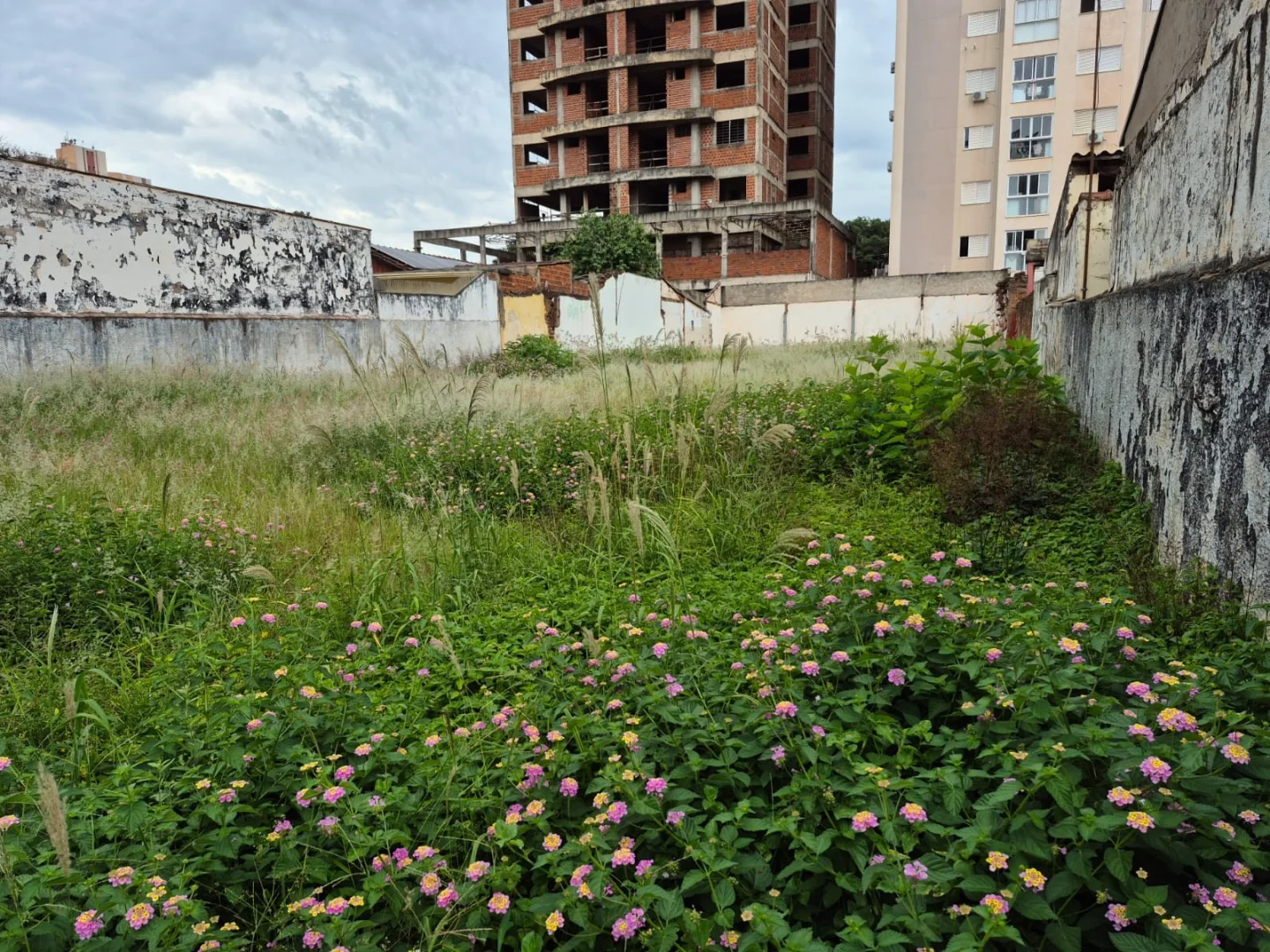 Terrenos residenciais à venda no Vila 07 em Maringá - foto 3
