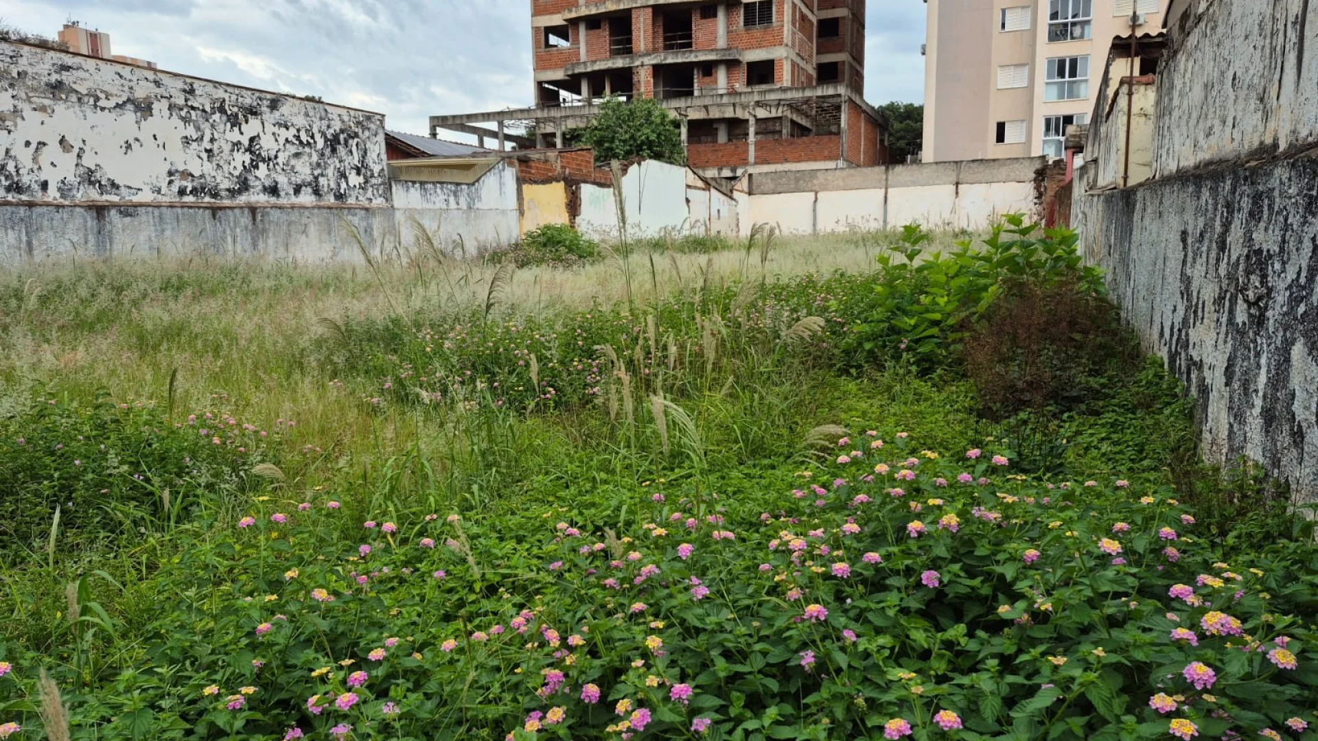 Terrenos residenciais à venda no Vila 07 em Maringá - foto 3