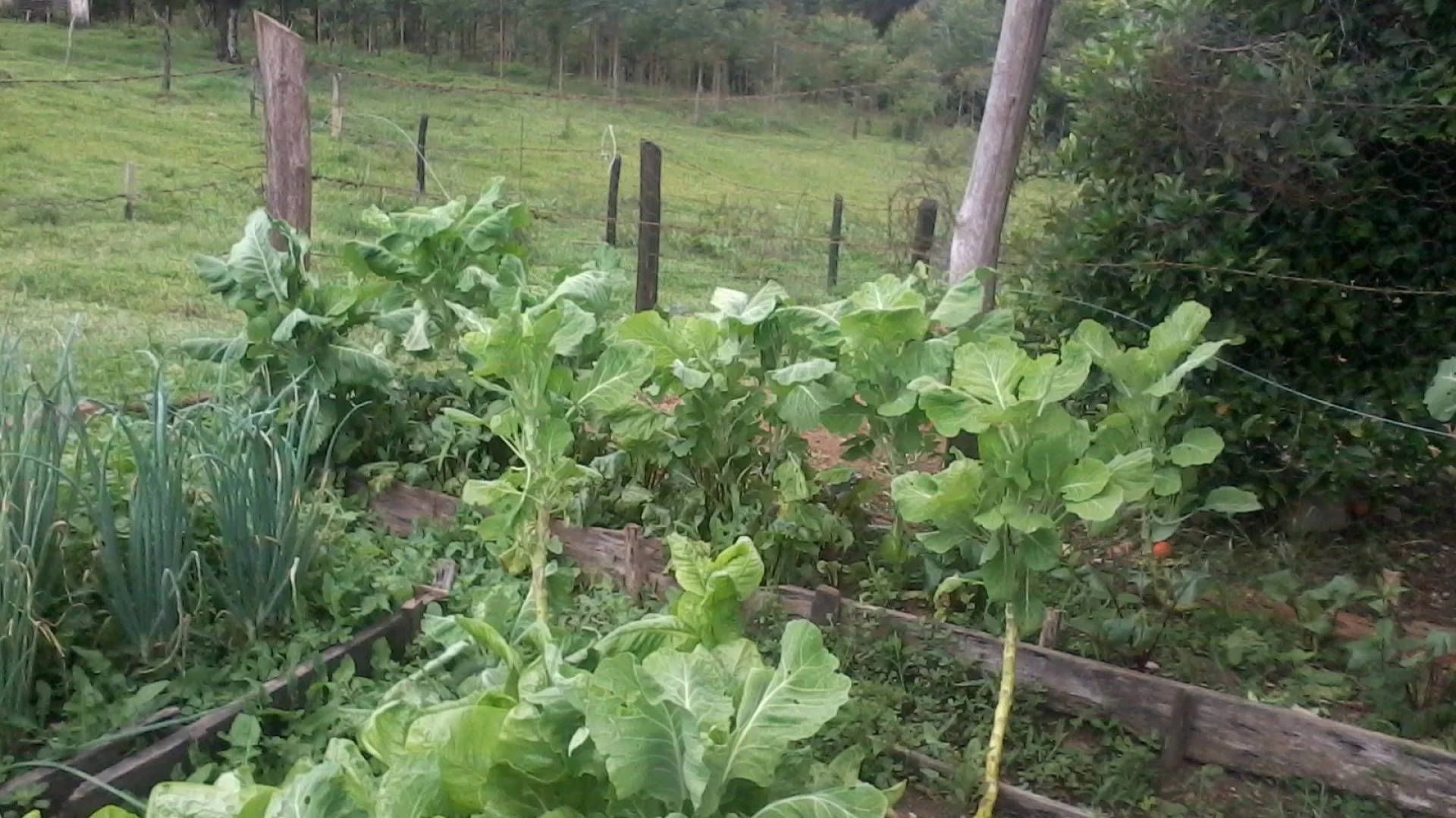 Chácaras à venda em Maringá - foto 4