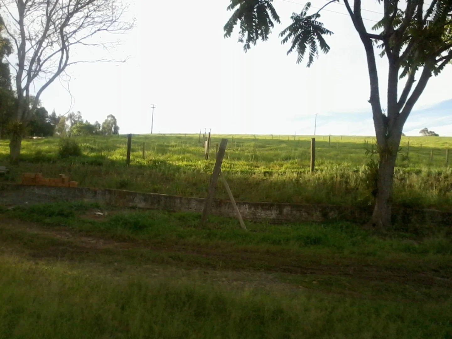 Chácaras à venda em Maringá - foto 5