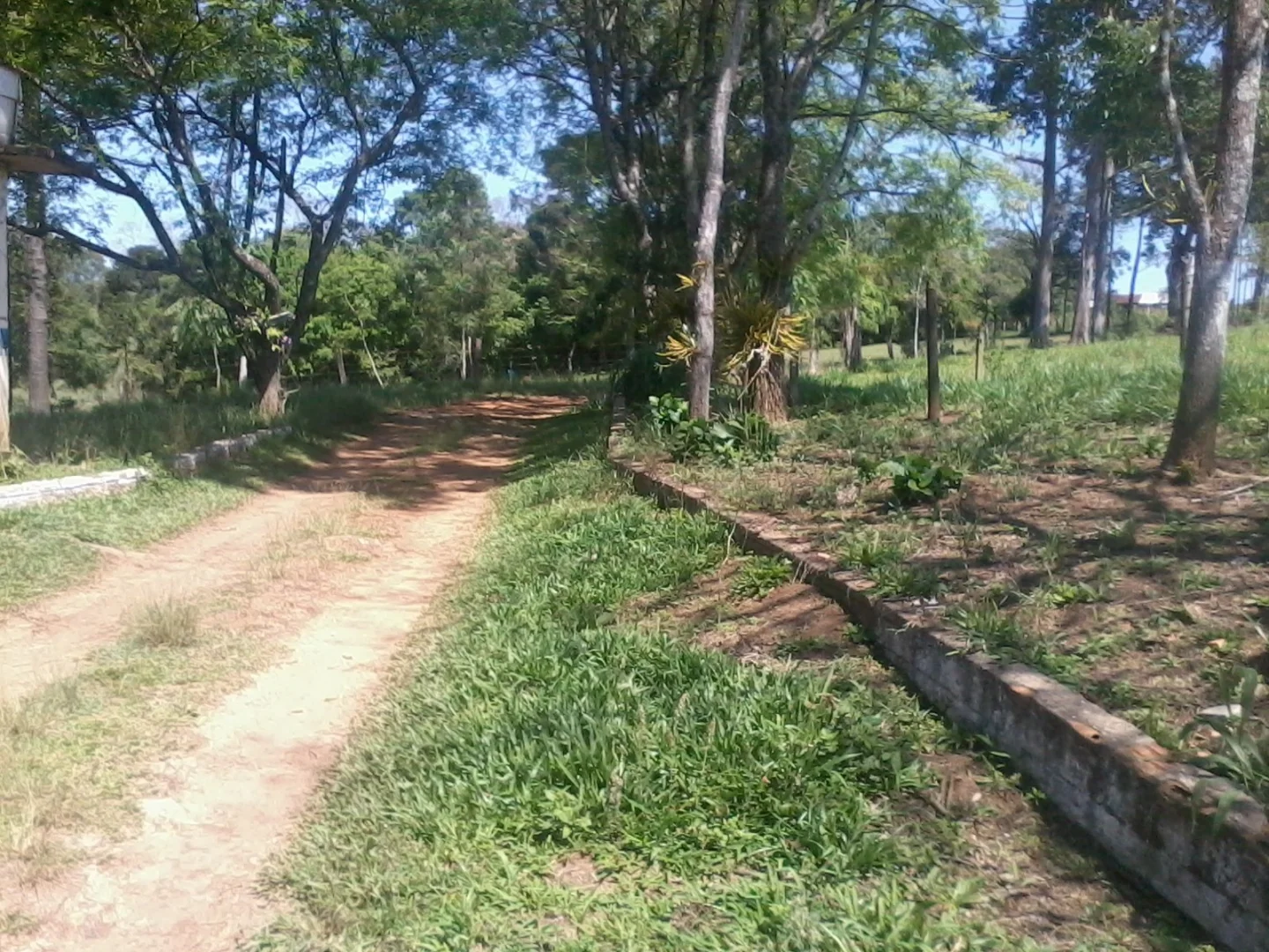 Chácaras à venda em Maringá - foto 6