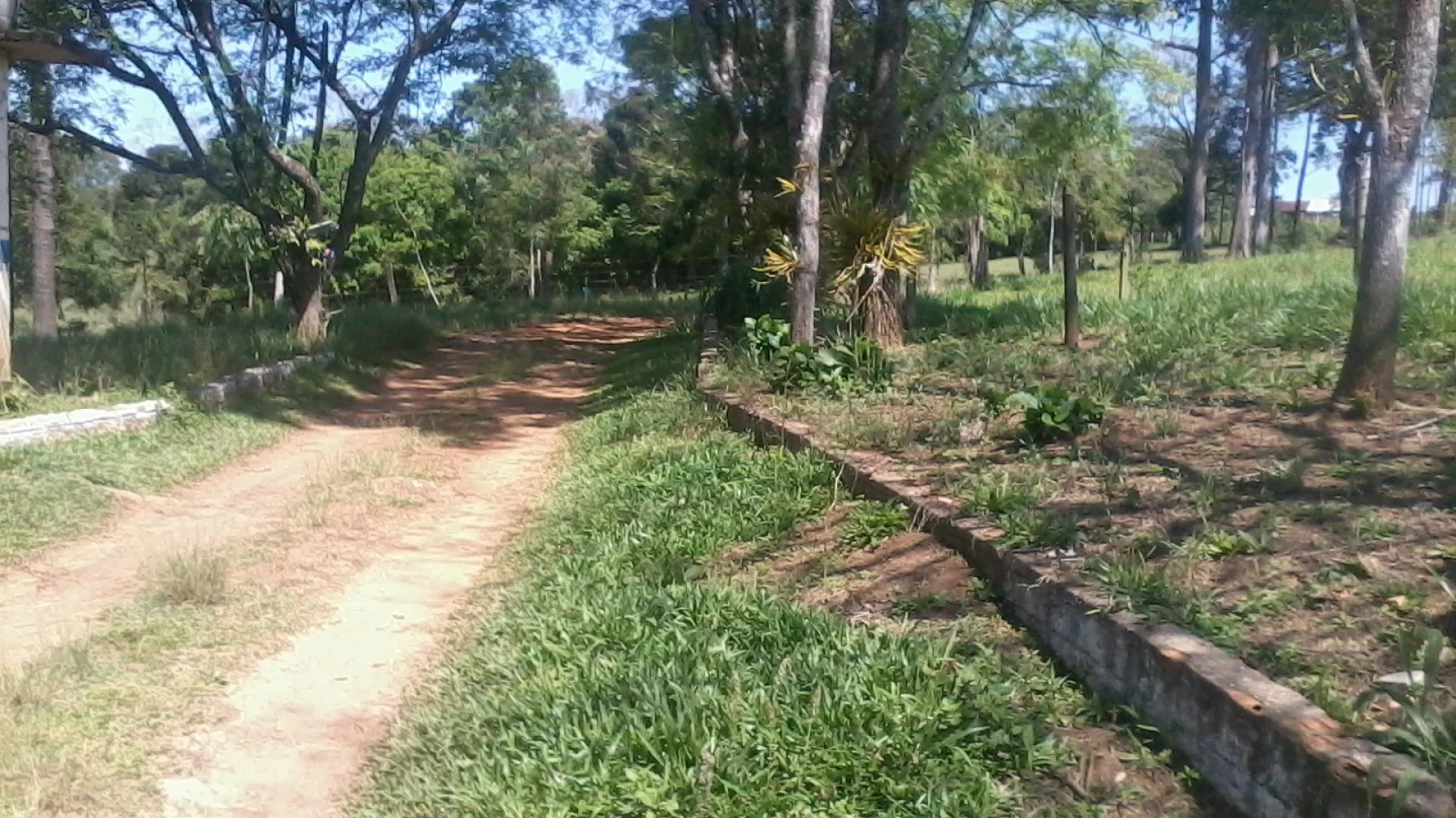 Chácaras à venda em Maringá - foto 6