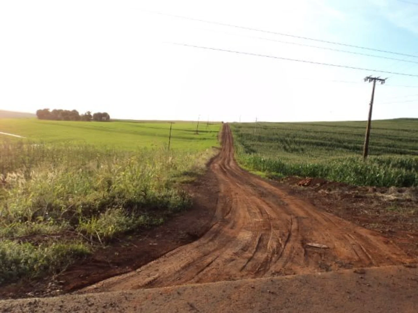 Sítios à venda em Maringá - foto 4