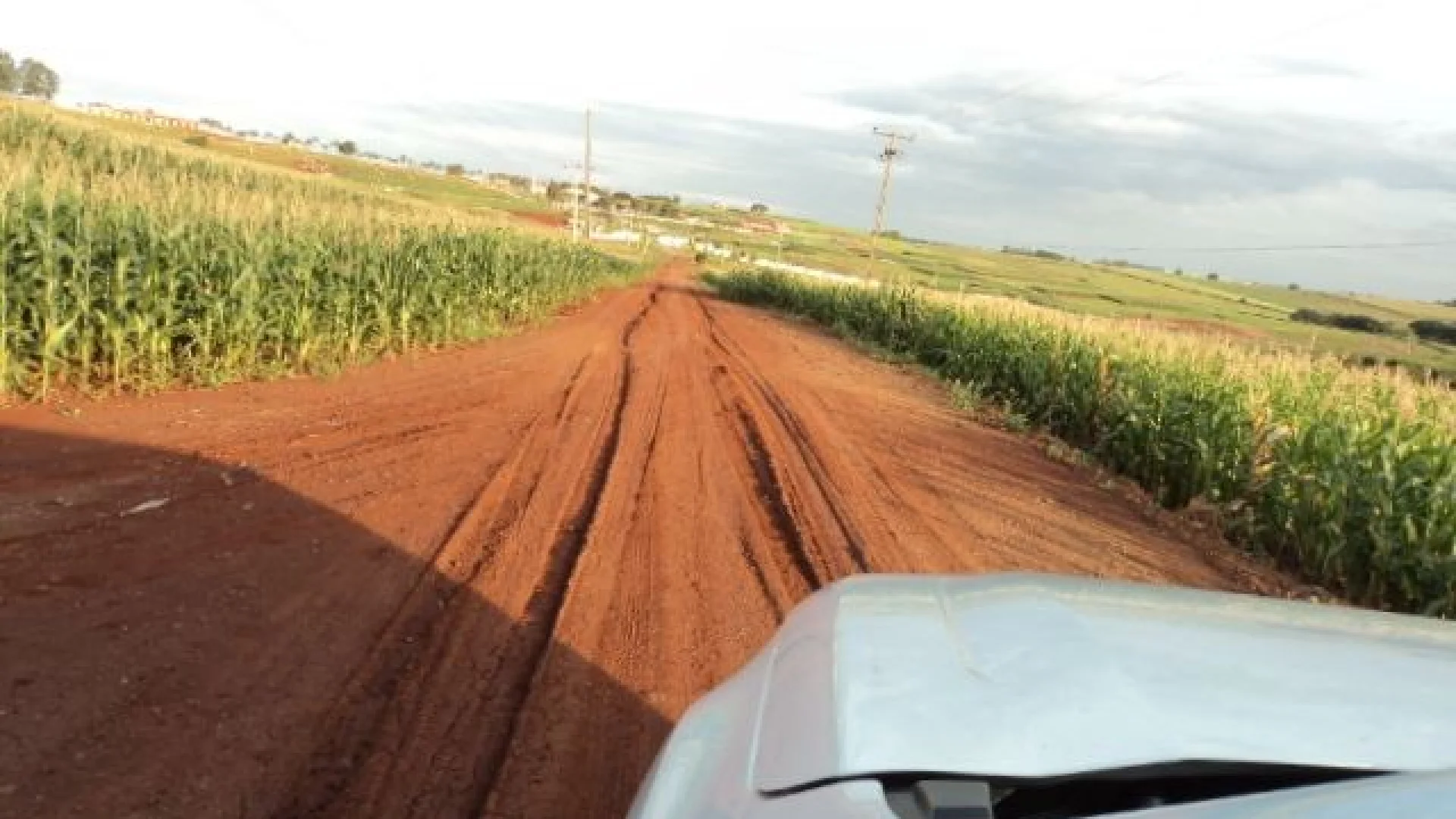 Sítios à venda em Maringá - foto 5