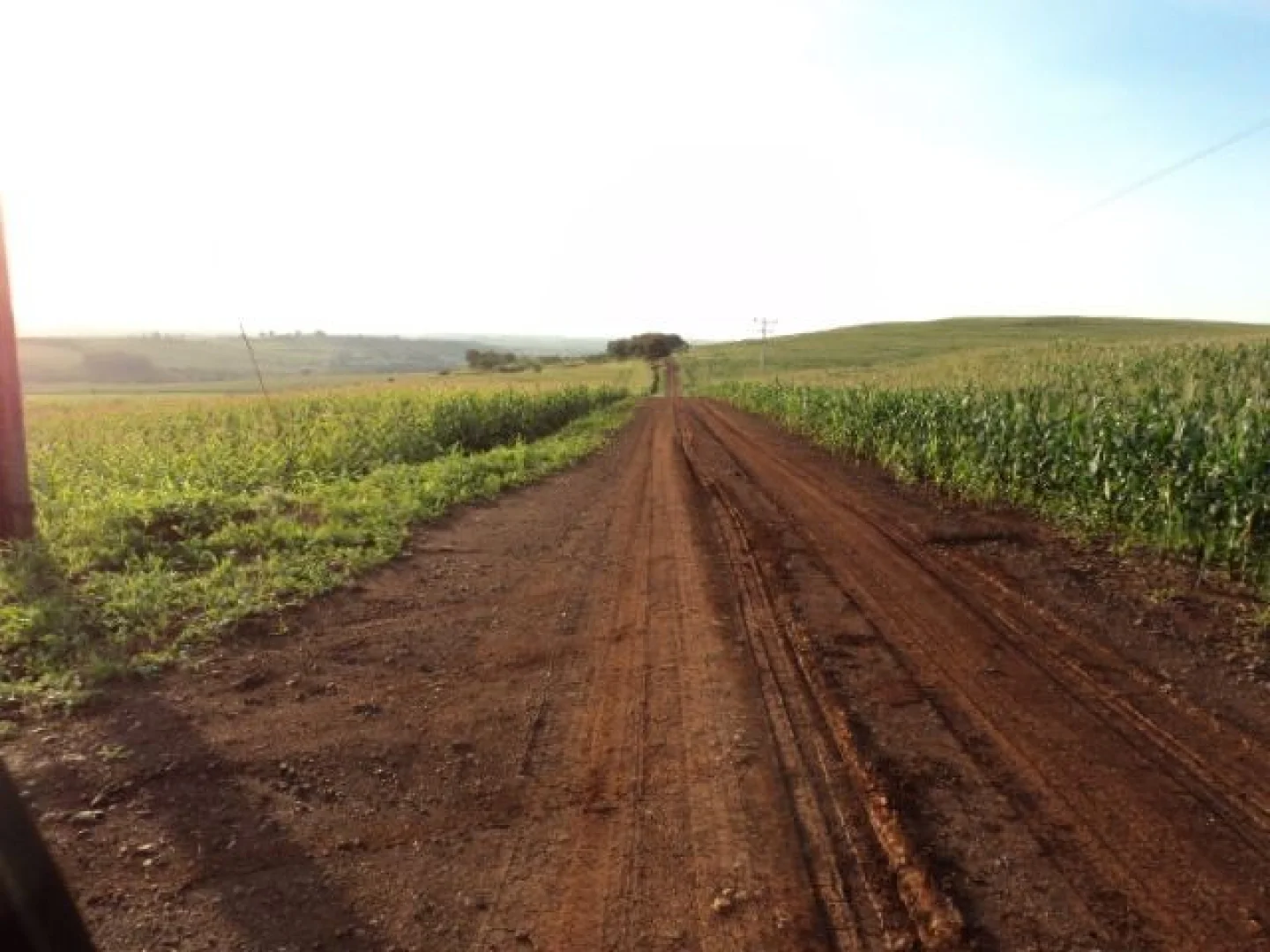 Sítios à venda em Maringá - foto 6