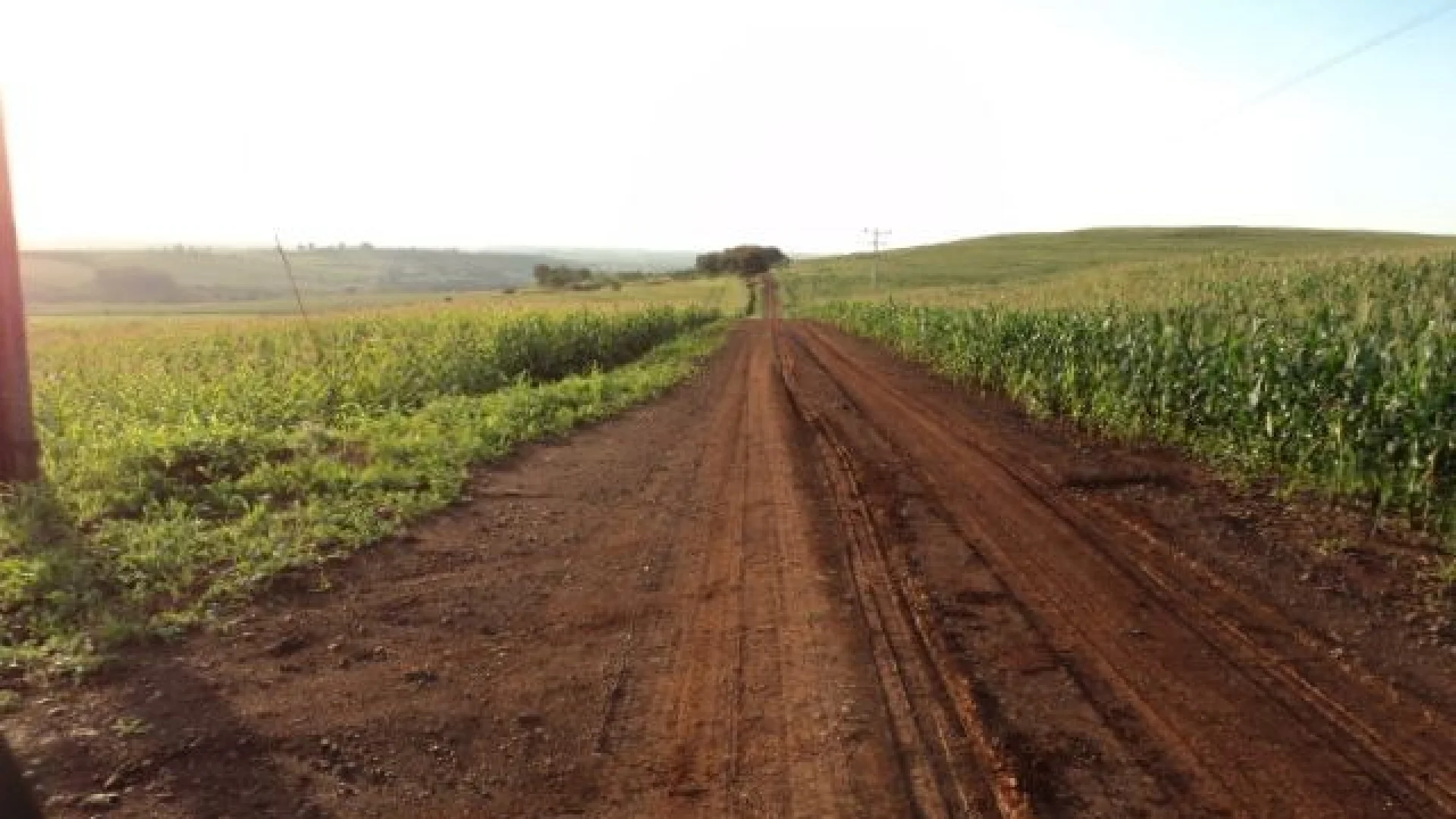 Sítios à venda em Maringá - foto 6