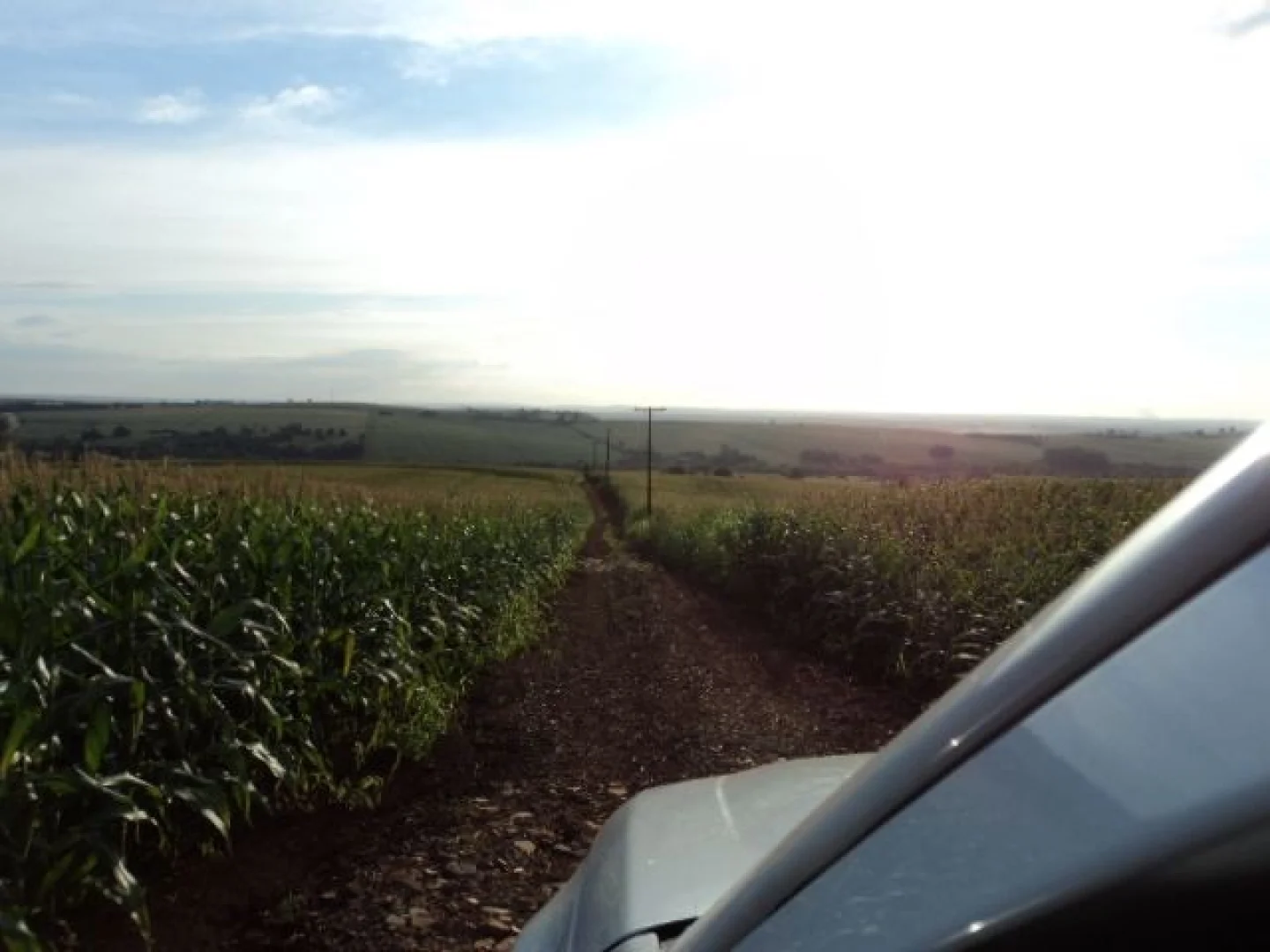 Sítios à venda em Maringá - foto 10
