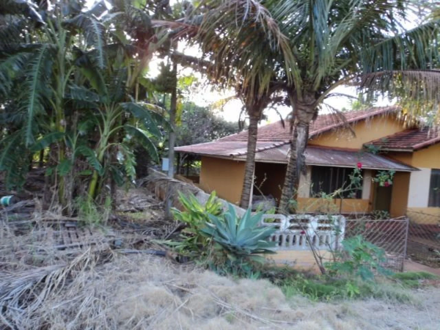 Sítios à venda em Maringá - foto 15
