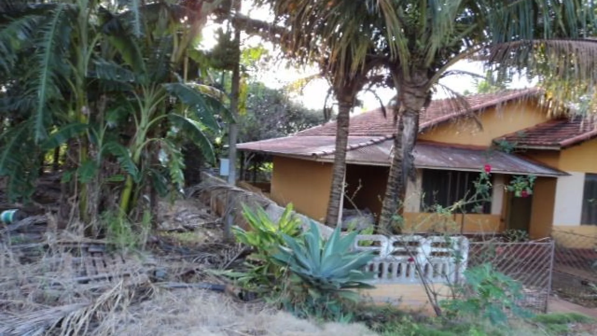 Sítios à venda em Maringá - foto 15