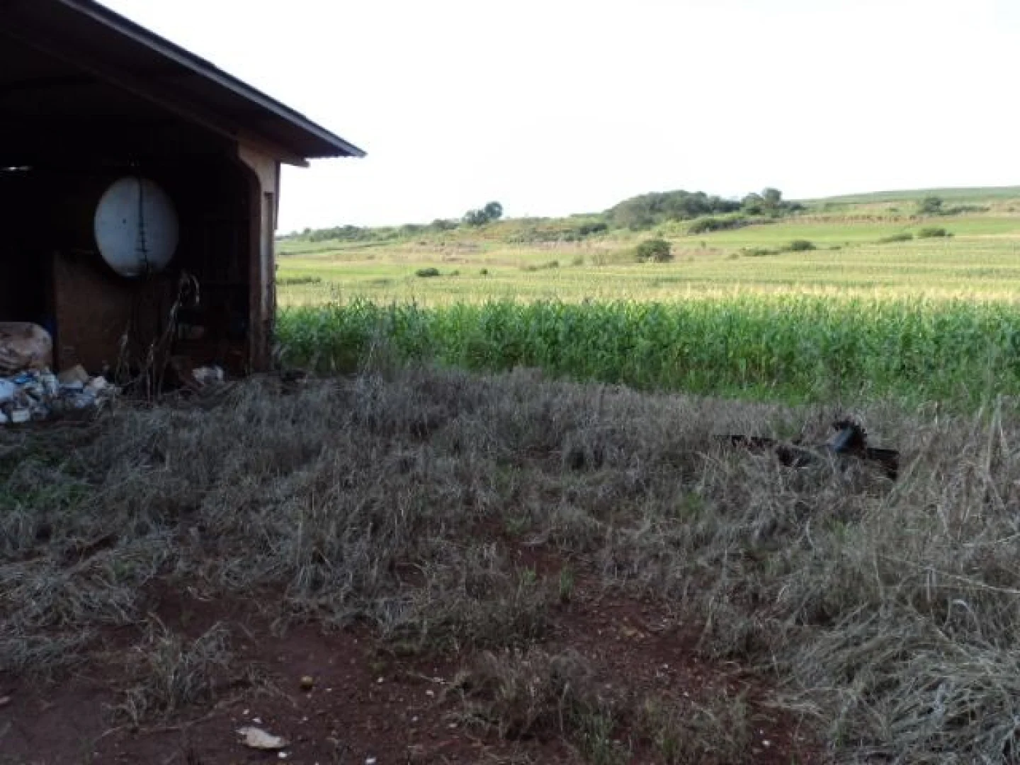 Sítios à venda em Maringá - foto 20