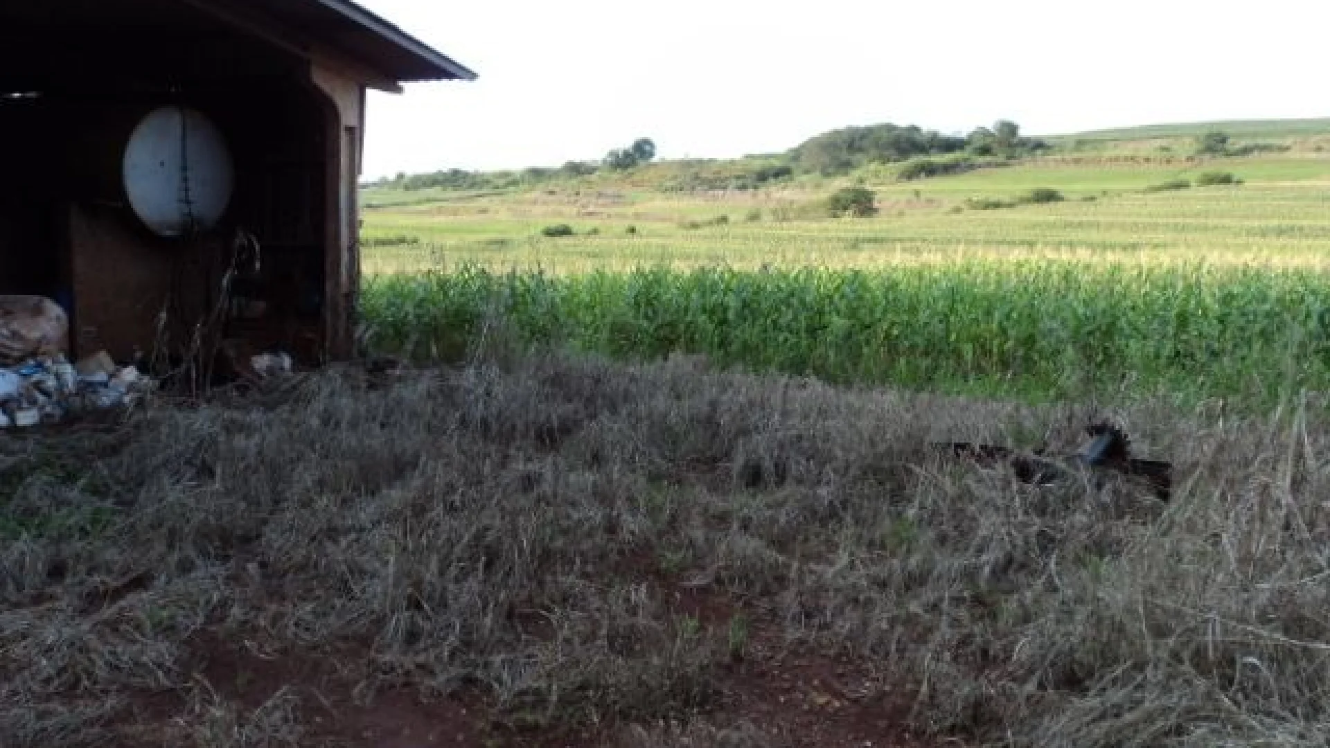 Sítios à venda em Maringá - foto 20