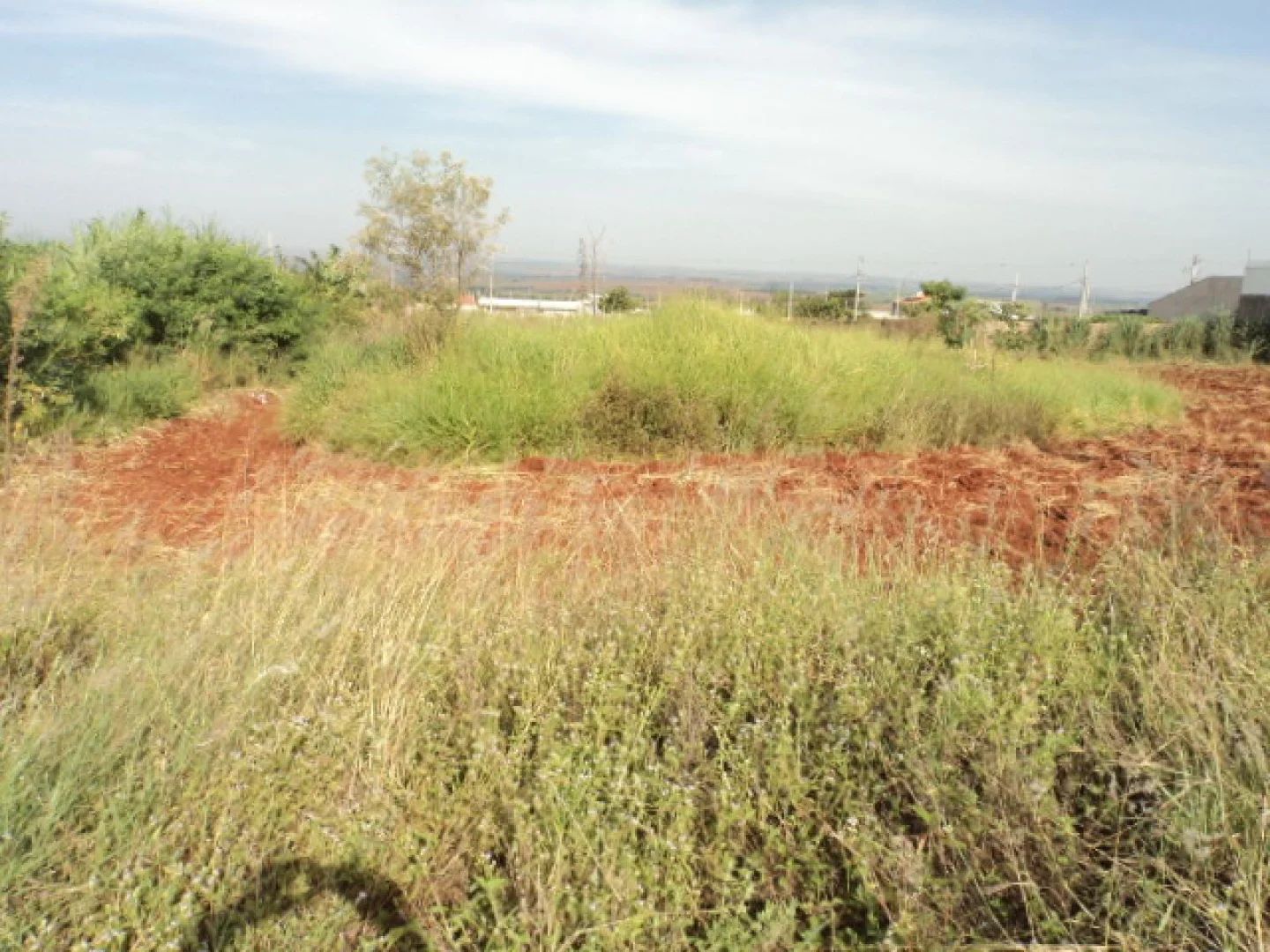 Terrenos residenciais à venda no Villa Verde em Iguaraçu - foto 3