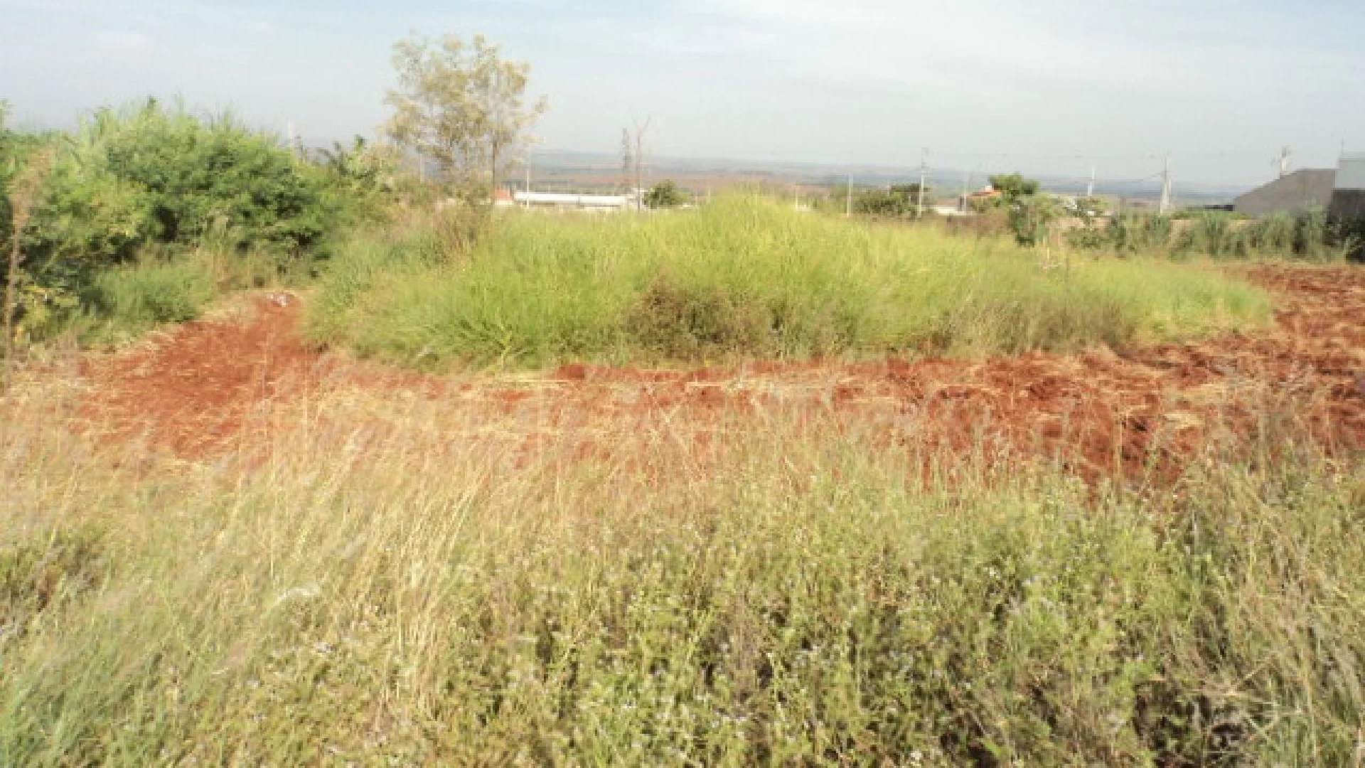 Terrenos residenciais à venda no Villa Verde em Iguaraçu - foto 3
