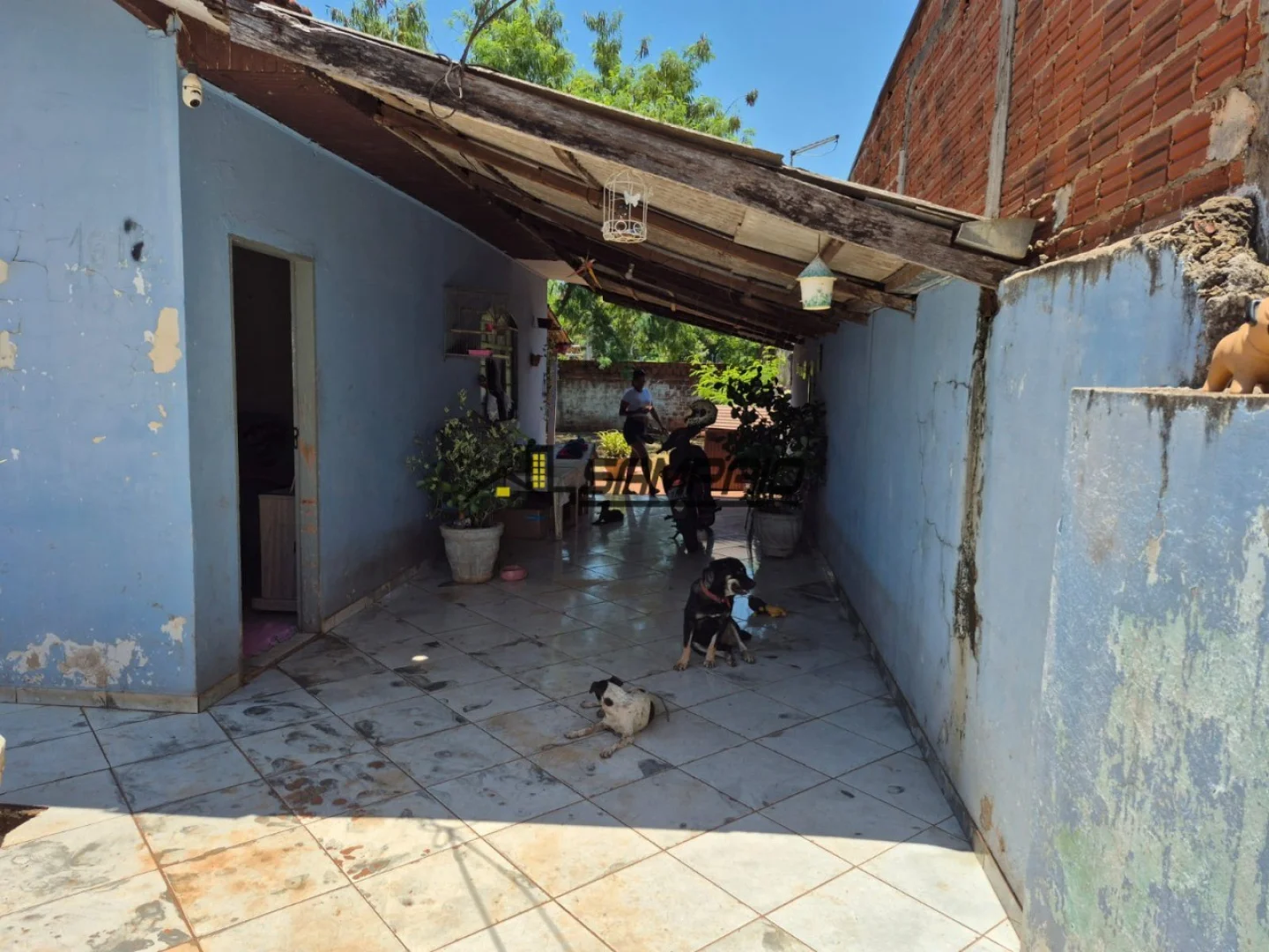Casas à venda no Parque das Grevileas em Maringá - foto 3