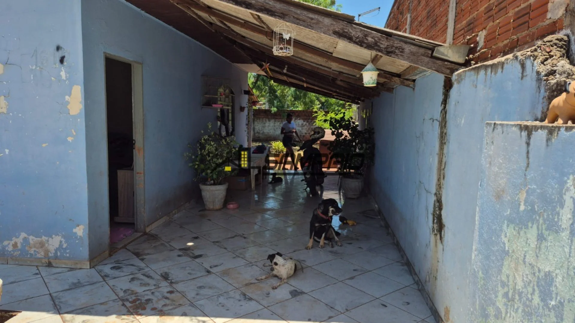 Casas à venda no Parque das Grevileas em Maringá - foto 3
