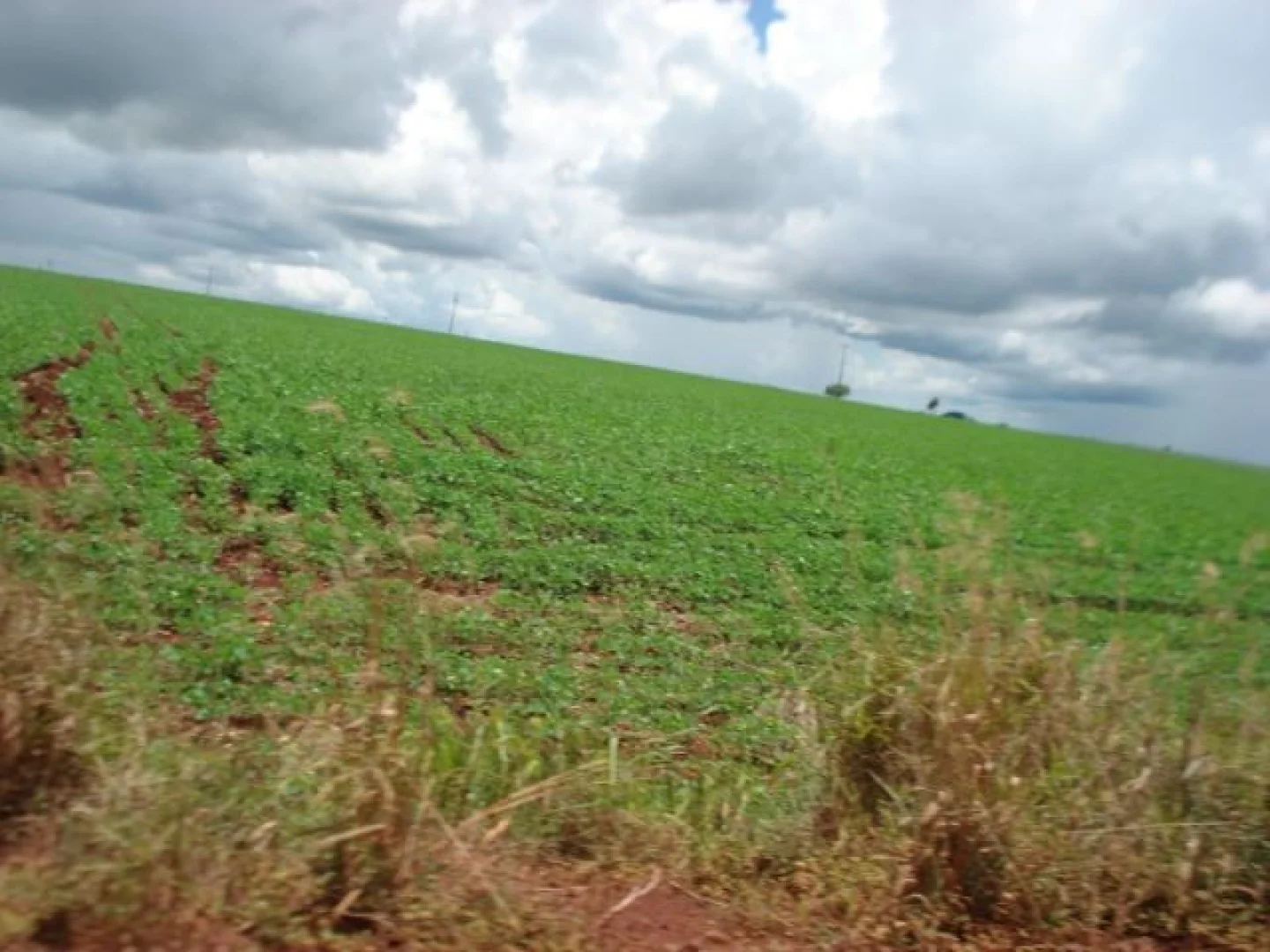 Sítios à venda no Estrada Ibipitanga em Maringá - foto 5