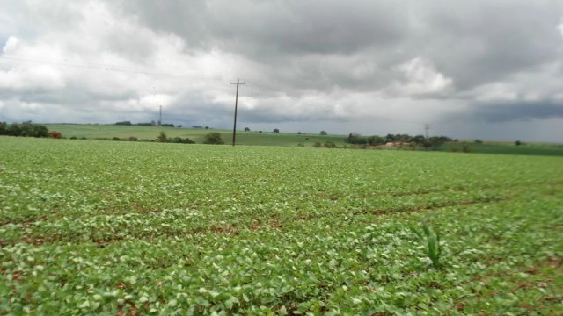 Sítios à venda no Estrada Ibipitanga em Maringá - foto 10
