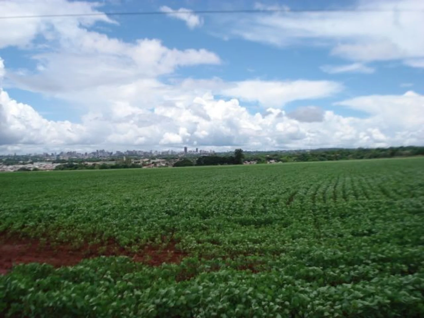 Sítios à venda no Estrada Ibipitanga em Maringá - foto 15